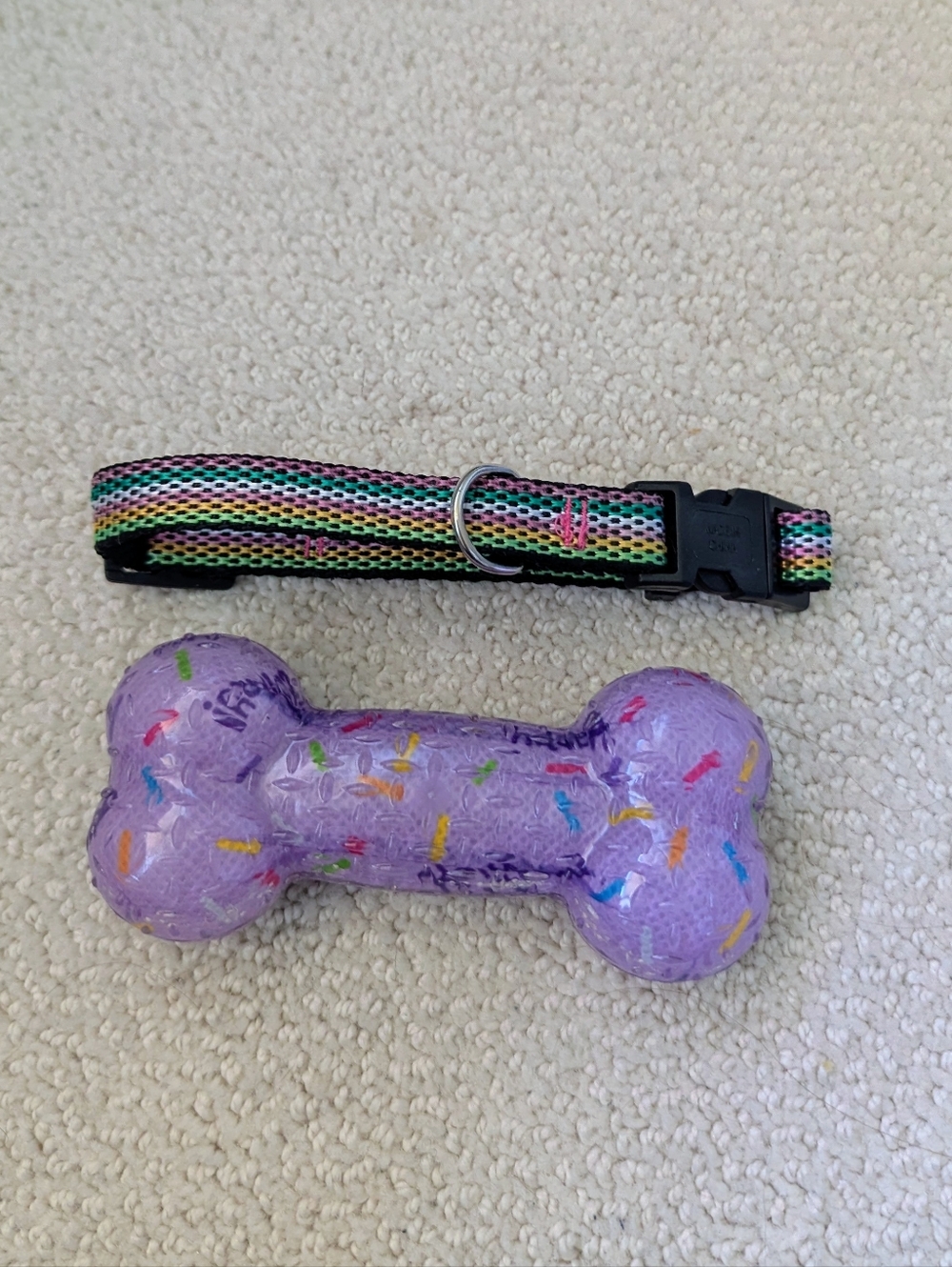 Birthday Bone Squeaker Toy And Small Multicolor Stripped Collar Set